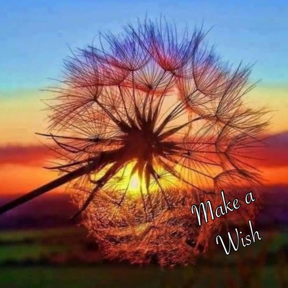 Meet your Posher, Barbara - Picture 15 of 16